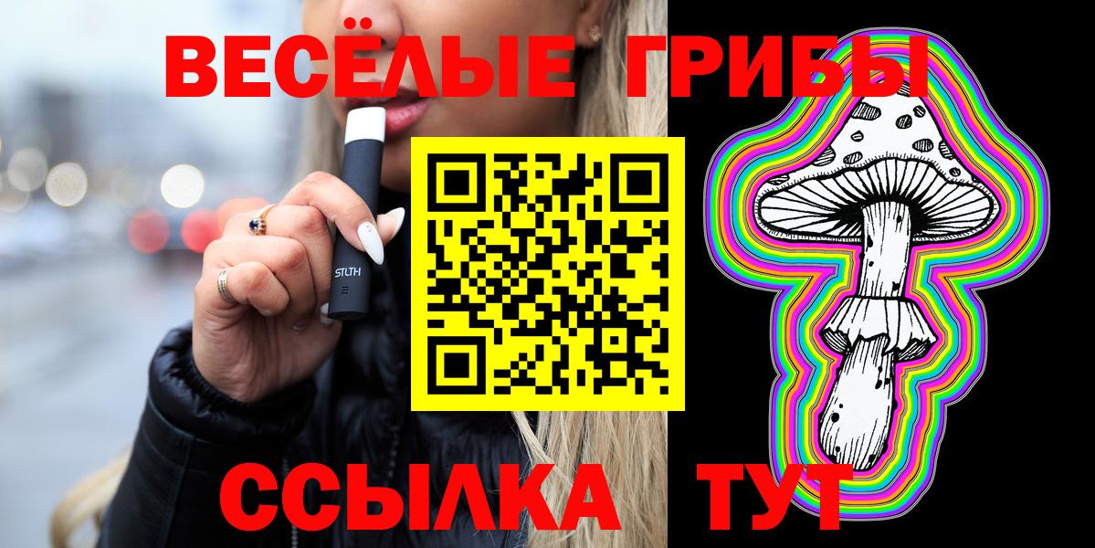 Дагестанские Огни  Псилоцибиновые грибы ЛСД  Вход с VPN  Галлюциногенные грибы Psilocybe 